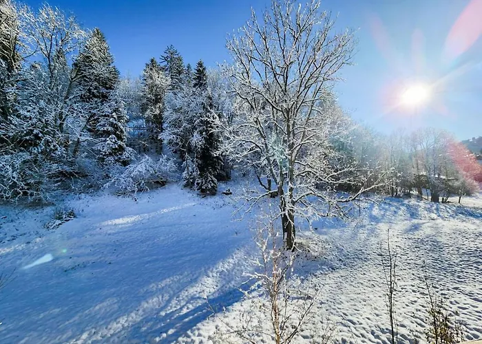 아파트 Reflets De *